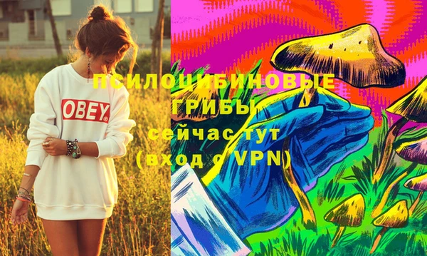 spice Михайловка