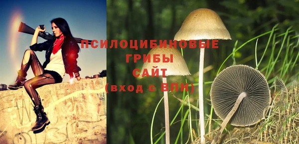 не бодяженный Михайлов