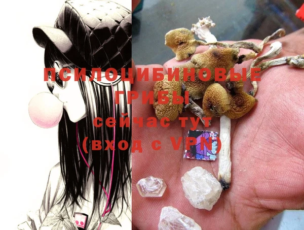 не бодяженный Михайлов