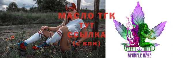 соль ск Надым