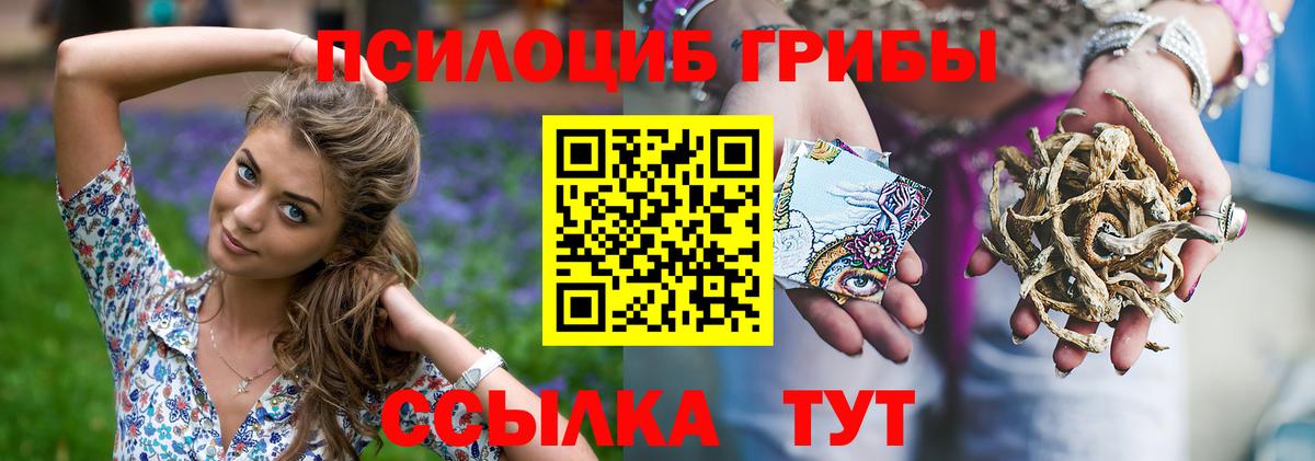 Галлюциногенные грибы Psilocybe Мегион