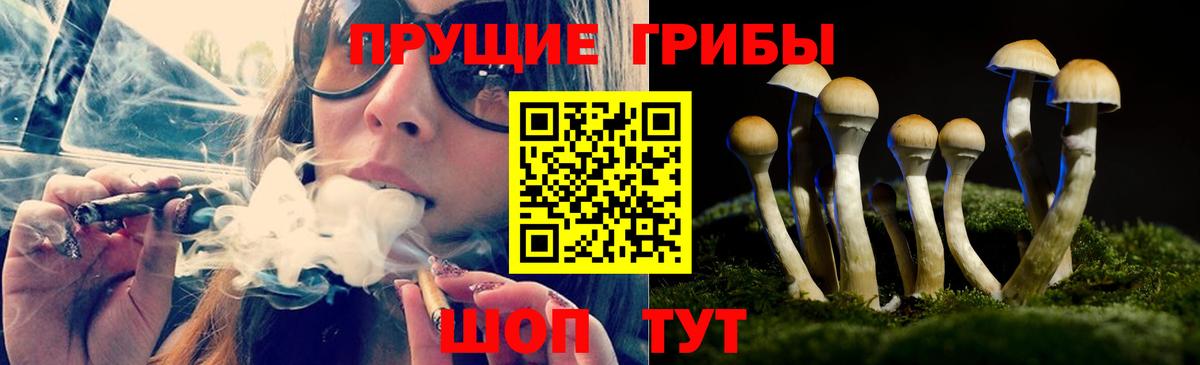 Мегион  Псилоцибиновые грибы ЛСД  Вход с VPN  цены   Псилоцибиновые грибы прущие грибы 